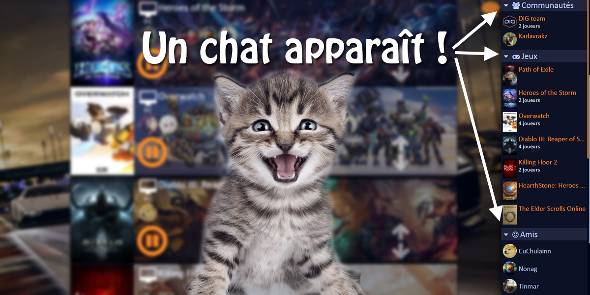 Un tchat pas n’importe comment !