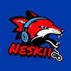 Team Neskii