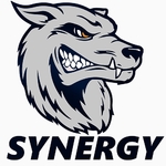 Team Synergy