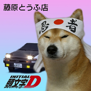[EUROBEAT INTENSIFIES]