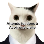 Mr.chats