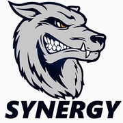 Team Synergy