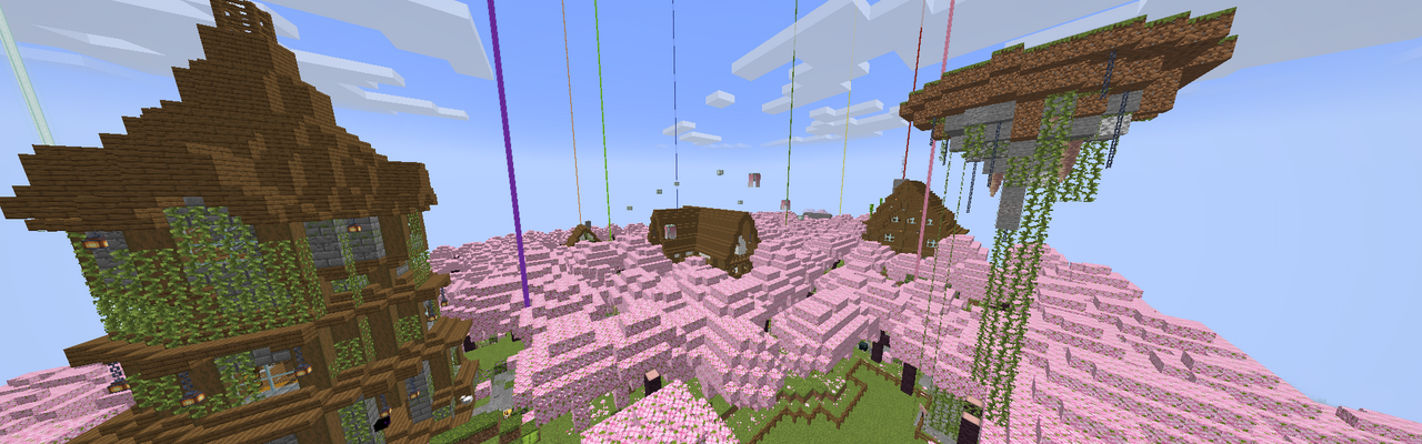serveur survie