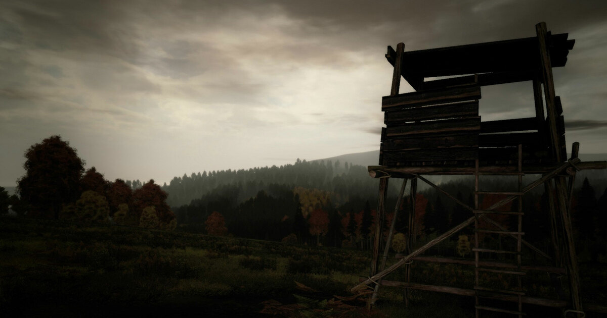 🎮 DayZ DropinGame