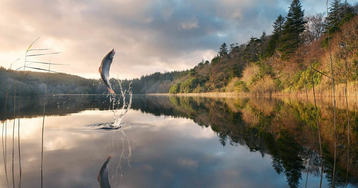 fishing planet playstation 4 fishing planet playstation 4