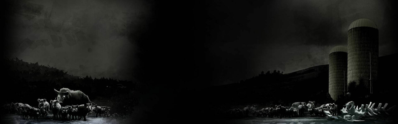 Blood and Bacon Blood and Bacon