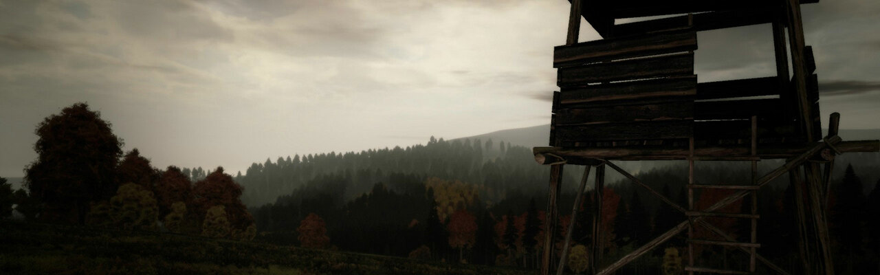 DayZ DayZ