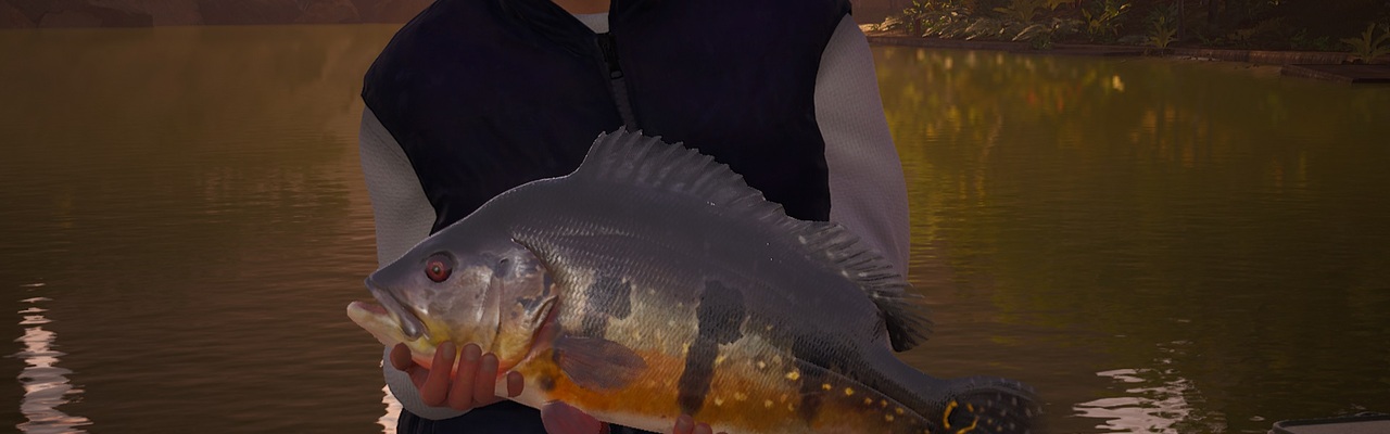 The Catch: Carp & Coarse Fishing