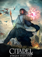 Citadel: Forged with Fire