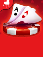 Texas HoldEm Poker