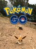 Pokémon GO Pokémon GO