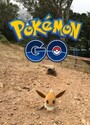 Pokémon GO Pokémon GO