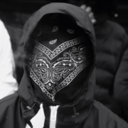 BlackFoxArmy