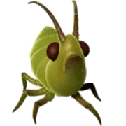 Heroca