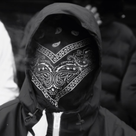 BlackFoxArmy BlackFoxArmy