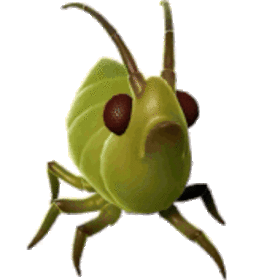Heroca