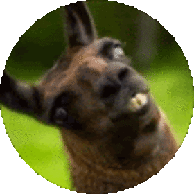Nazgolesh